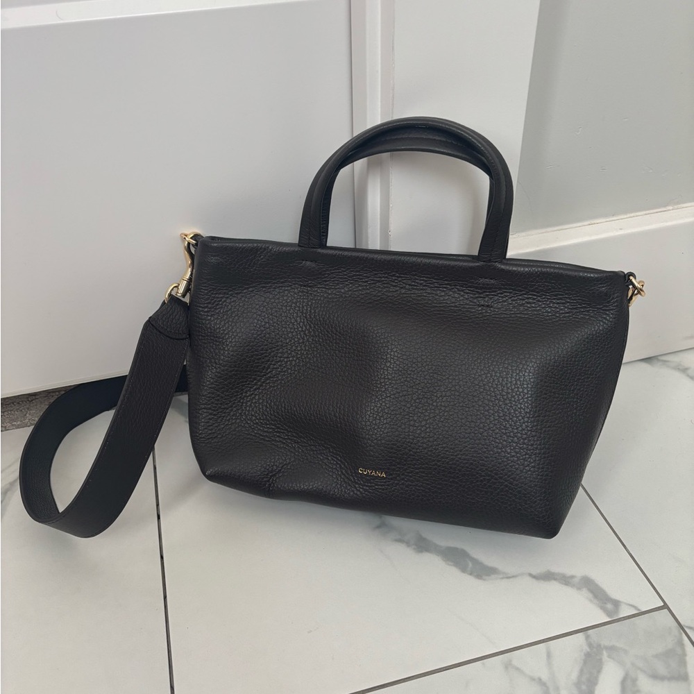 Cuyana mini easy zipper tote